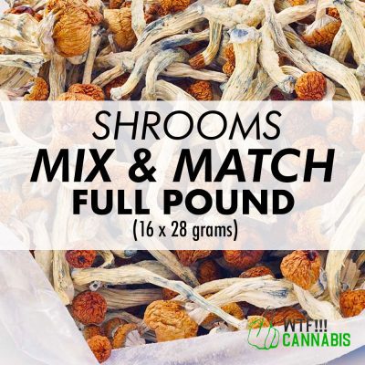 wtf-mnm-mushrooms-p-400x400.jpg