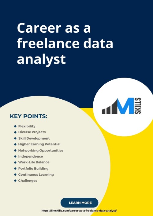 career as a freelance data analyst (1)