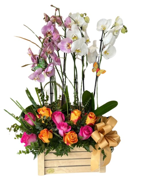 Encuentra los arreglos florales más hermosos y significativos para celebrar el Día de la Madre en SuperFlores. Sorprende a mamá con la belleza de nuestras creaciones.
https://superflores.com/product-category/madres/
