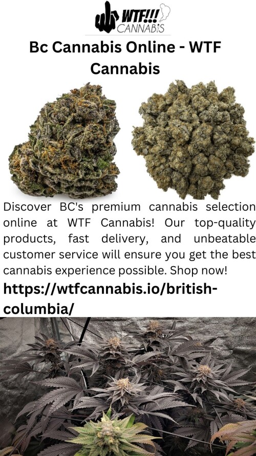 Discover BC's premium cannabis selection online at WTF Cannabis! Our top-quality products, fast delivery, and unbeatable customer service will ensure you get the best cannabis experience possible. Shop now!


https://wtfcannabis.io/british-columbia/