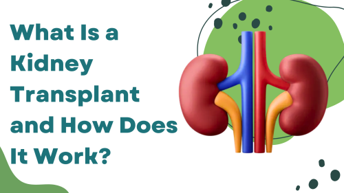 What-Is-a-Kidney-Transplant-and-How-Does-It-Work.png