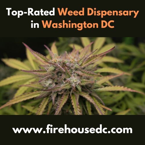Top-Rated-Weed-Dispensary-in-Washington-DC.jpg