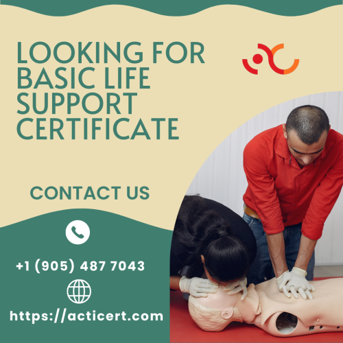 Basic life support refers to the care type that first responders, medical personnel, and public safety experts provide to patients experiencing cardiac arrest, respiratory distress, or airway obstruction. If you are unaware of it and are looking forward to learning more about it, the ActiCert training program is the solution. The primary goal behind this training program is to give professionals who have to respond more confidence when administering cardiopulmonary resuscitation in a team setting. If you are serious about making a name for yourself in this industry, now is the perfect moment to register and benefit from this globally relevant and authentic certification program.  https://acticert.com/redcross/basic-life-support-certification/