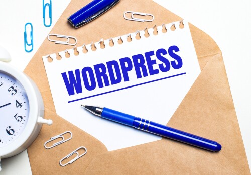 Wordpress-Development-Company-DF.jpg