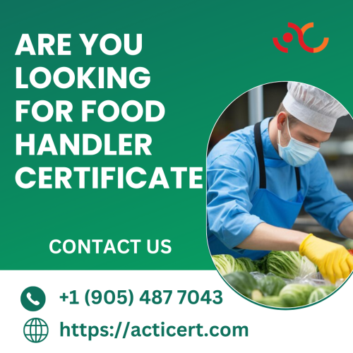 Are-You-Looking-For-Food-Handler-Certificate.png