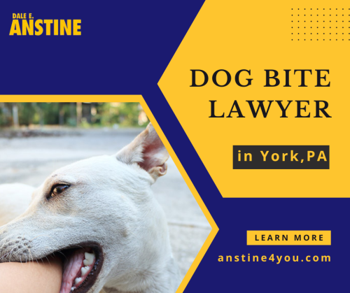 Dog-Bite-Lawyer-in-York-PA.png