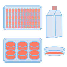 Get-Affoardable-Price-cells-in-96-well-plate.jpg