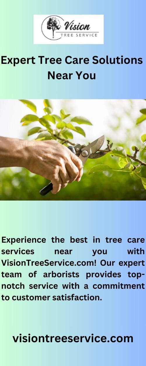 Experience the best in tree care services near you with VisionTreeService.com! Our expert team of arborists provides top-notch service with a commitment to customer satisfaction.

https://visiontreeservice.com/