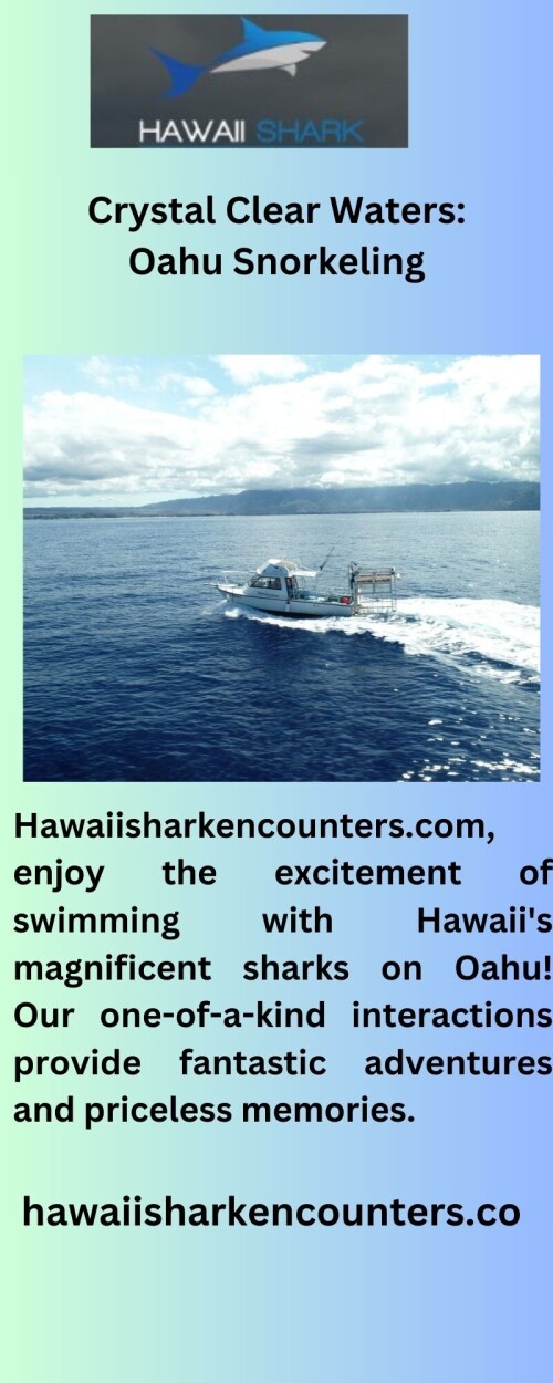 Get ready for an amazing journey with hawaiisharkencounters.com! Face your concerns in a safe and memorable way by going cage diving with sharks. Await the experience of a lifetime!
https://hawaiisharkencounters.com/shark-cage-diving/