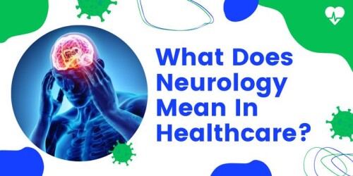 What-Does-Neurology-Mean-In-Healthcare.jpg