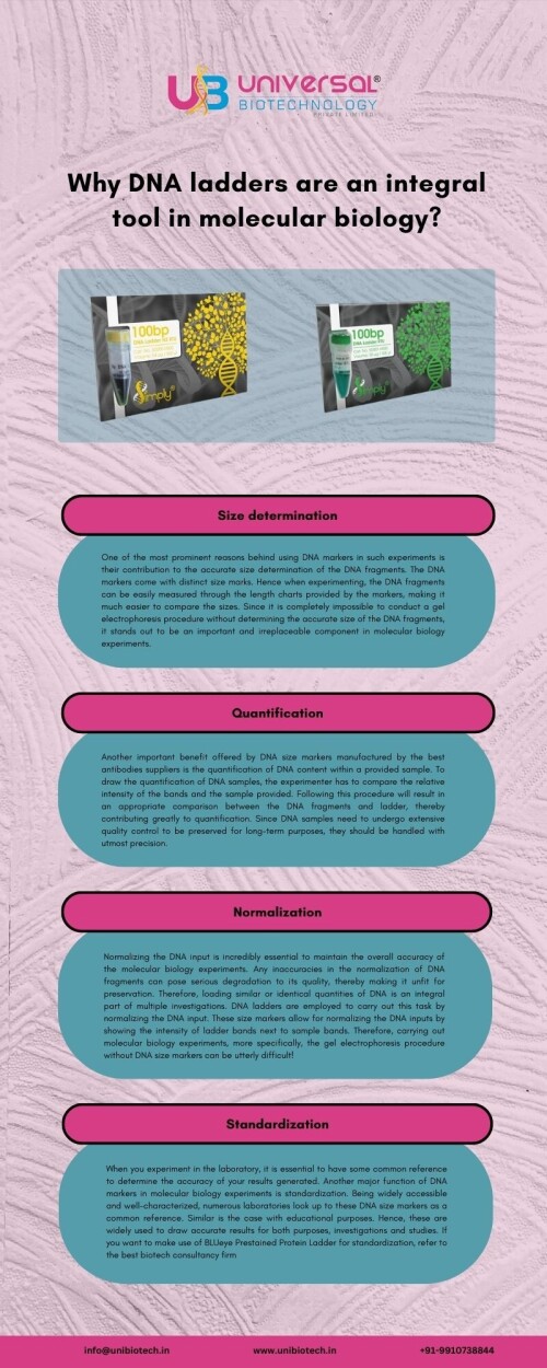 Why-DNA-ladders-are-an-integral-tool-in-molecular-biology.jpg