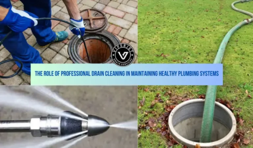 The-Role-of-Professional-Drain-Cleaning-in-Maintaining-Healthy-Plumbing-Systems.png