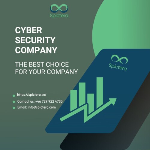 Cybersecurity-Company--Spictera.jpg