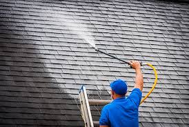 The-Best-Way-to-Ensure-a-Clean-Roof.jpg