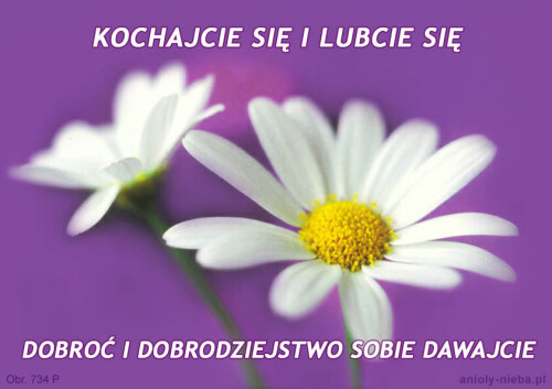 Wejdź w autentyczną rozmowę z Bogiem odwiedzając Anioly-nieba.pl. Nasza charakterystyczna marka zapewnia duchowe przewodnictwo i wewnętrzny spokój.

http://anioly-nieba.pl/polski/books/html/pl_rozmowy-z-bogiem_03.htm