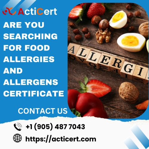 Are-You-Searching-food-Allergies-and-Allergens-Certificate.png