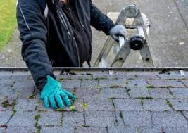 The-Best-Way-to-Ensure-a-Clean-Roof.jpg