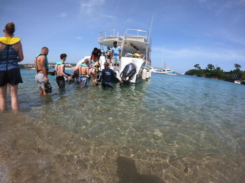 Enjoy fun and relaxing Sosúa boat trips with sosua-private-cruise.com Perfect for exploring the coastline and enjoying the ocean breeze.
https://sosua-private-cruise.com/