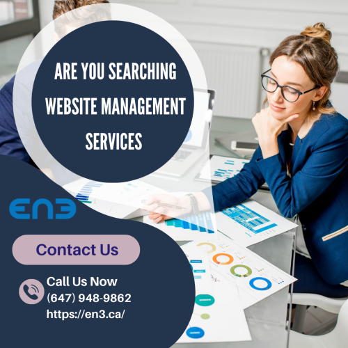 Are-You-Searching-website-management-services.png