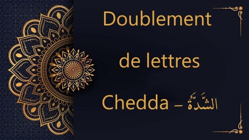 slider-alphabet-arabe-chedda.jpg