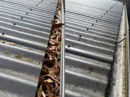 The-Best-Strata-Gutter-Cleaning-Service-on-the-Gold-Coast.jpg