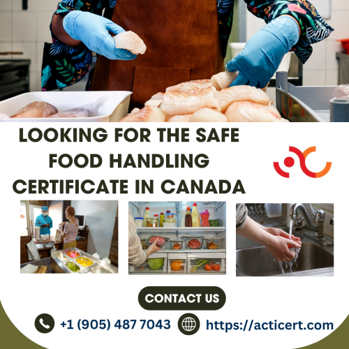 Looking-For-The-Safe-Food-Handling-Certificate-In-Canada.png