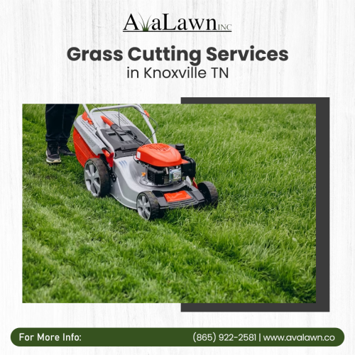 Grass Cutting services Knoxville, TN