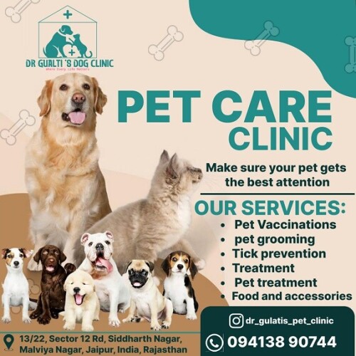 Dr. Gulati's Dog Clinic is the Best Pet Accessories Shop in Malviya Nagar, Jaipur who provide everything for your dog need.
https://g.co/kgs/bVpgw5r