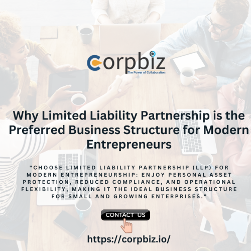 Why Limited Liability Partnership (LLP) is the Preferred Business Structure for Modern Entrepreneurs