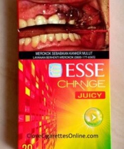 esse-change-juicy-scaled-247x296.jpg