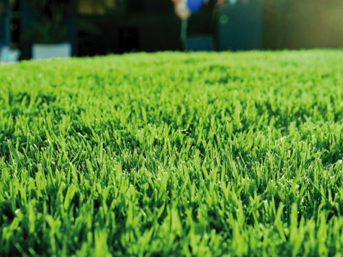 Picture1e5f01548f1aaa821.png