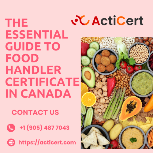 The-Essential-Guide-To-Food-Handler-Certificate-In-Canada.png