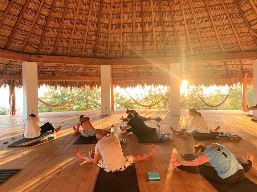 Discover Healing and Transformation: A Guide to Retreats in Mexico and Mexico Mushroom Retreats