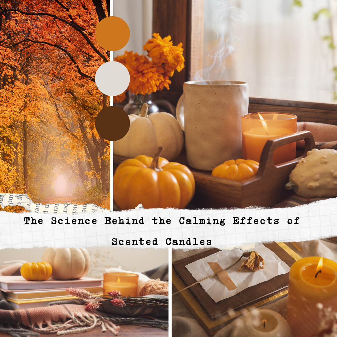 The Science Behind the Calming Effects of Scented Candles The Science Behind the Calming Effects of Scented Candles
