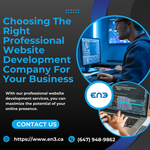 Choosing-The-Right-Professional-Website-Development-Company-For-Your-Business.png