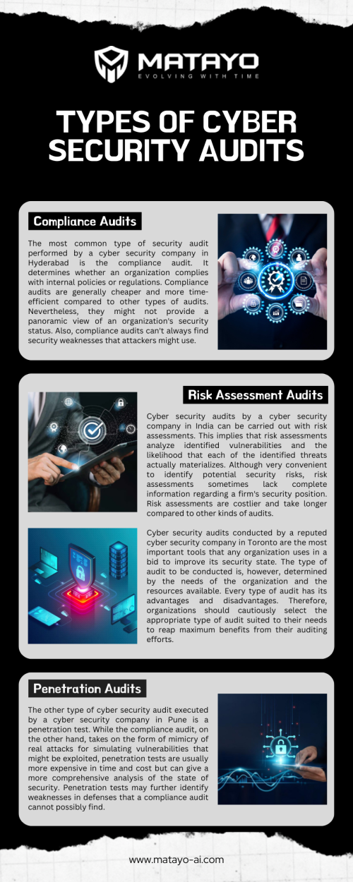 Types-of-cyber-security-audits.png