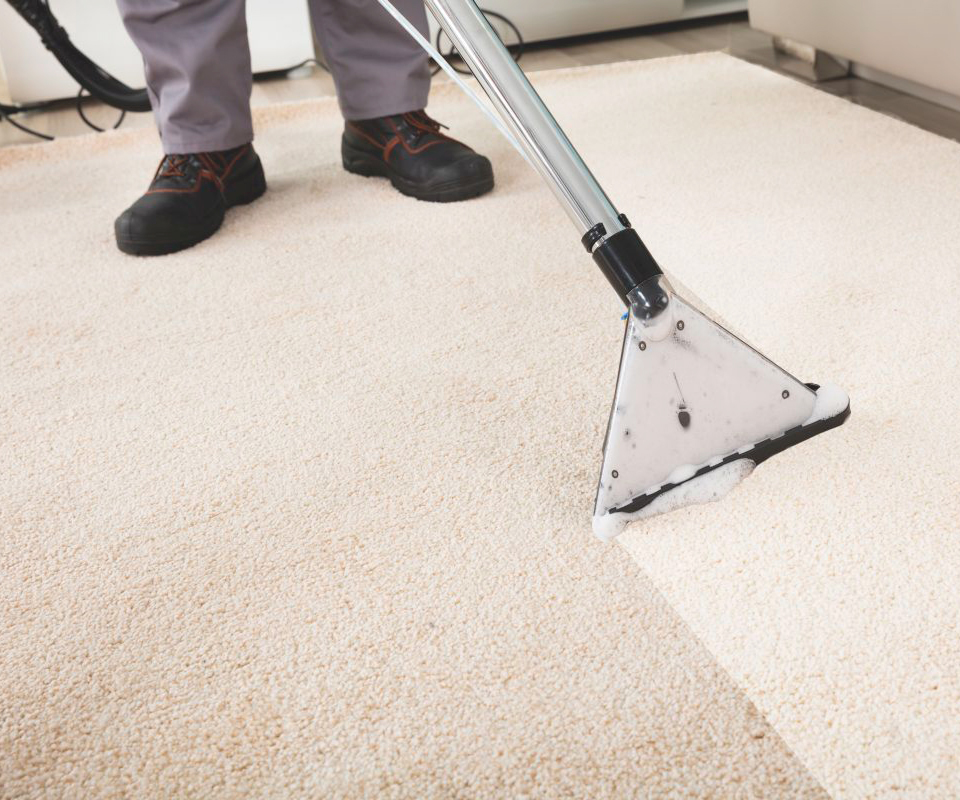 Eco-Friendly Solutions for Spotless Carpets: Your Ultimate Guide to Green Carpet Cleaning in Dundrum