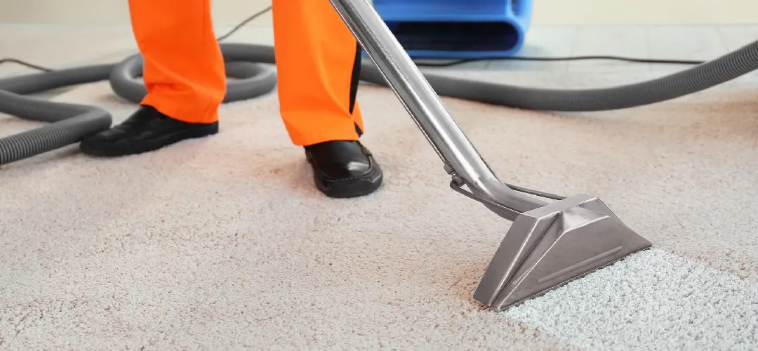 Breaking Down Carpet Cleaning Prices: What to Expect for Quality Service