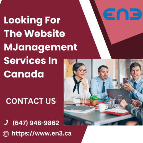 Looking-For-The-Website-Management-Services-In-Canada.png